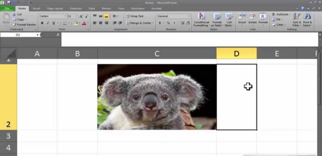  inserisci GIF in Excel