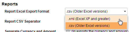 Esportazione di dati di report Per Excel 2